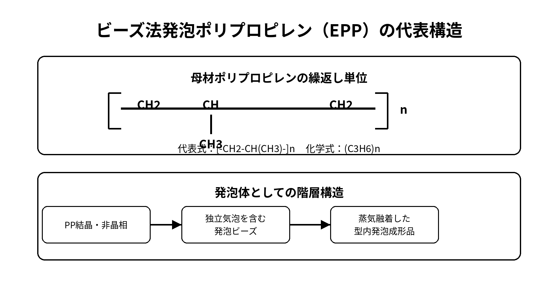 ビーズ法発泡ポリプロピレンEPPの代表構造式と発泡構造