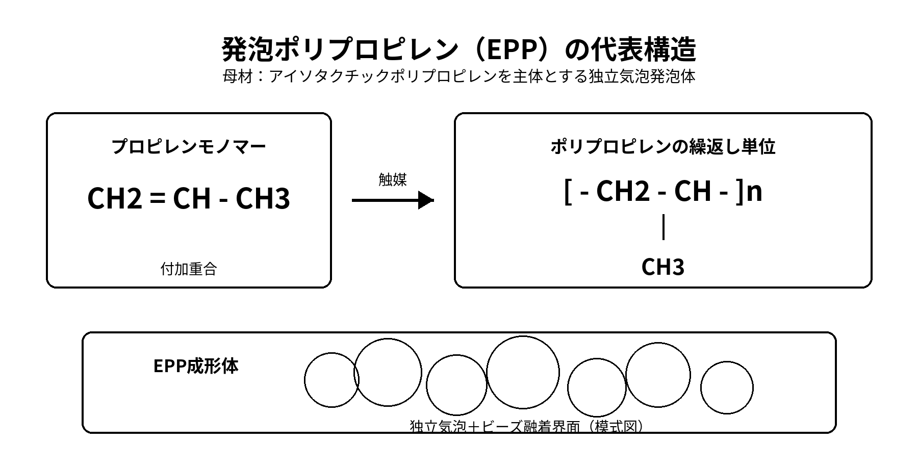 発泡ポリプロピレンEPPの代表構造
