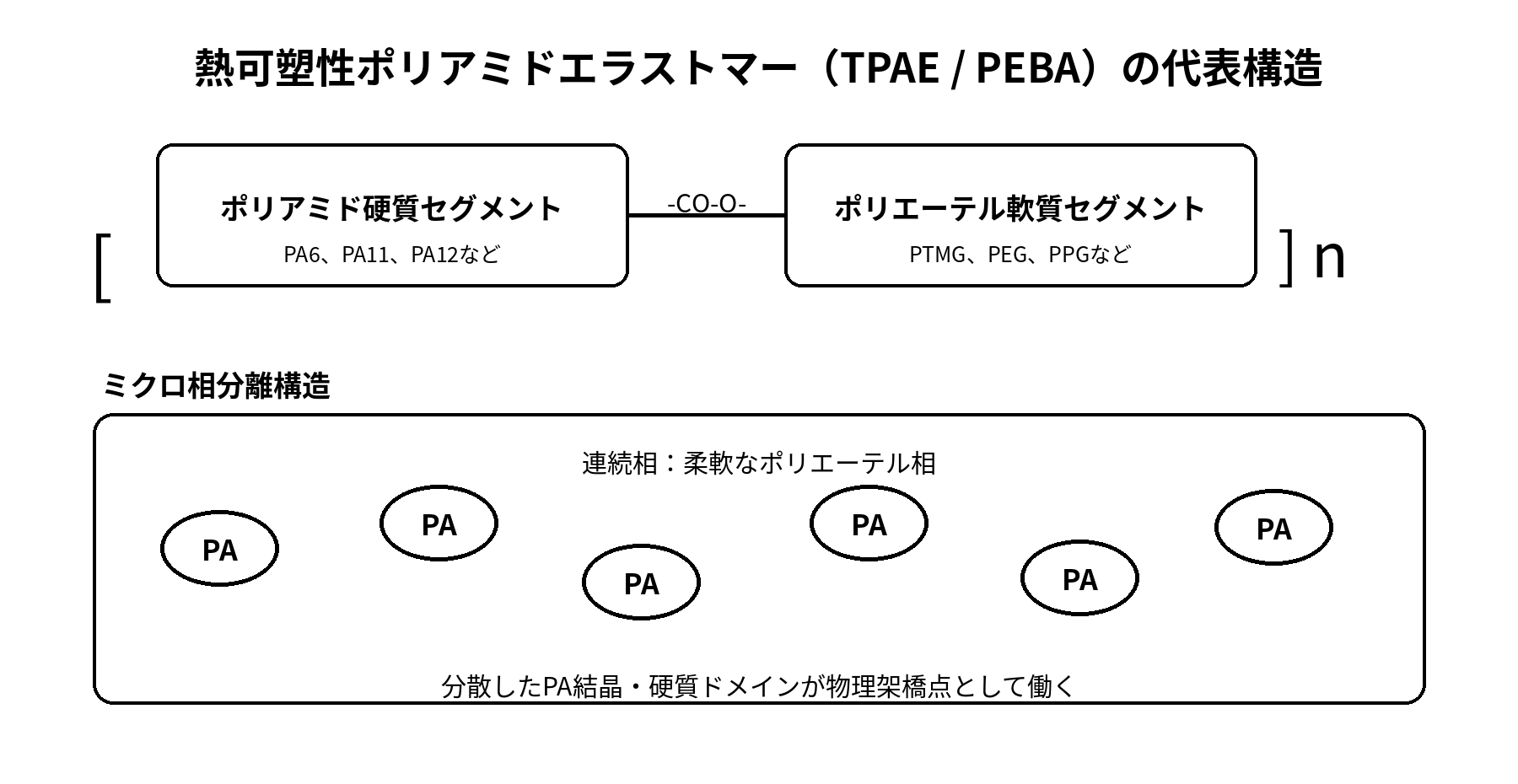 熱可塑性ポリアミドエラストマーTPAEの代表構造とミクロ相分離構造