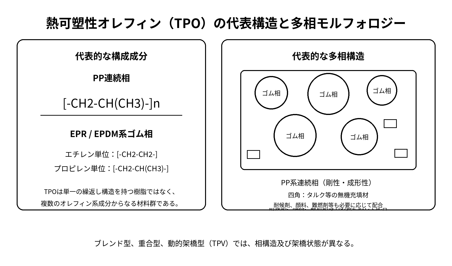 熱可塑性オレフィンTPOの代表構造と多相モルフォロジー