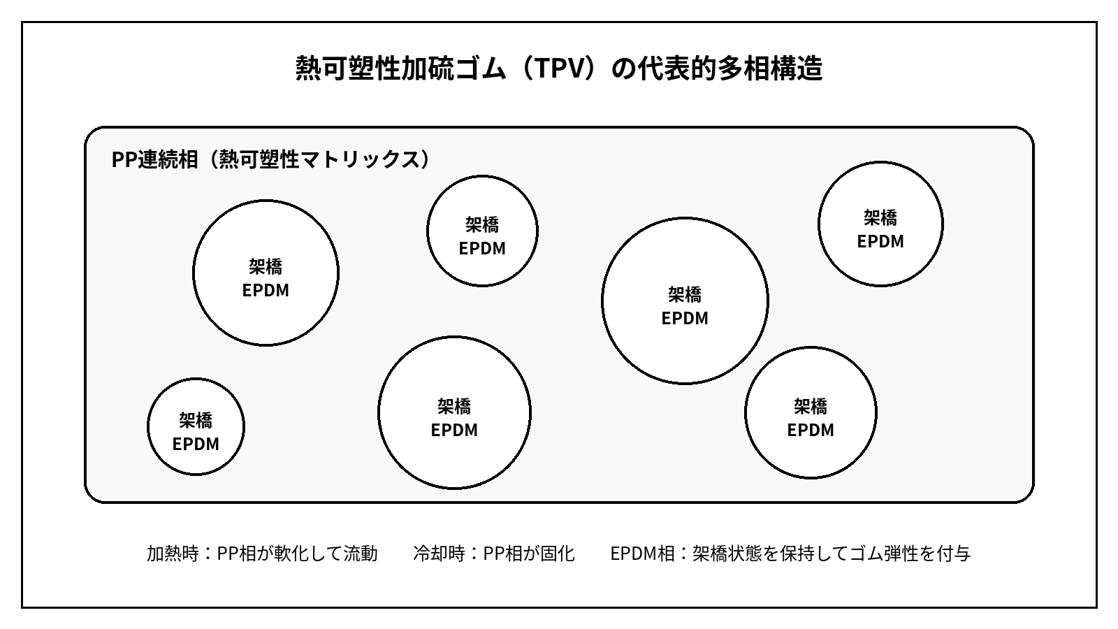 熱可塑性加硫ゴムTPVの代表的多相構造